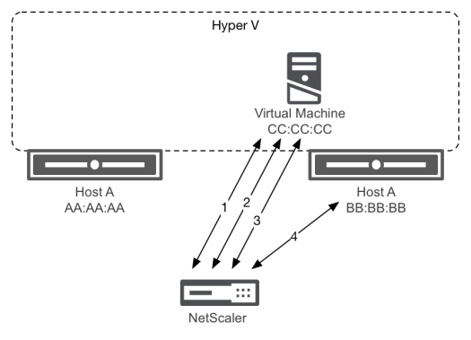 Flapping services with Hyper-V - Hyper-V virtual MAC behavior
